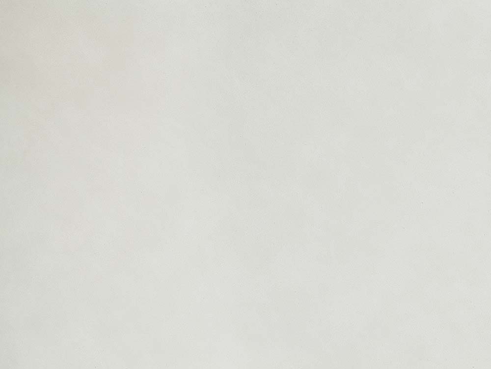 Gaines - Side Chair (Set of 2) - White PU