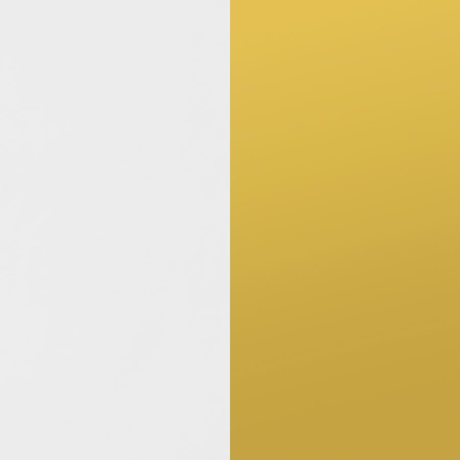 Elsa - 2 Door Wood Storage Accent Cabinet - White And Gold