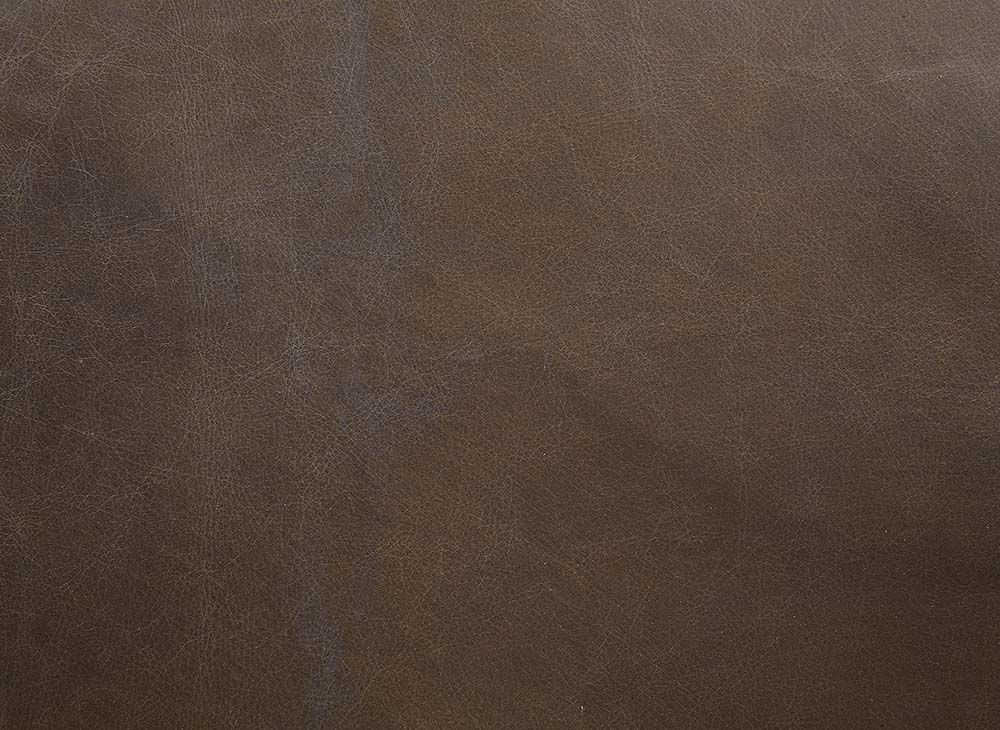 Oralia - Accent Chair - Saturn Top Grain Leather