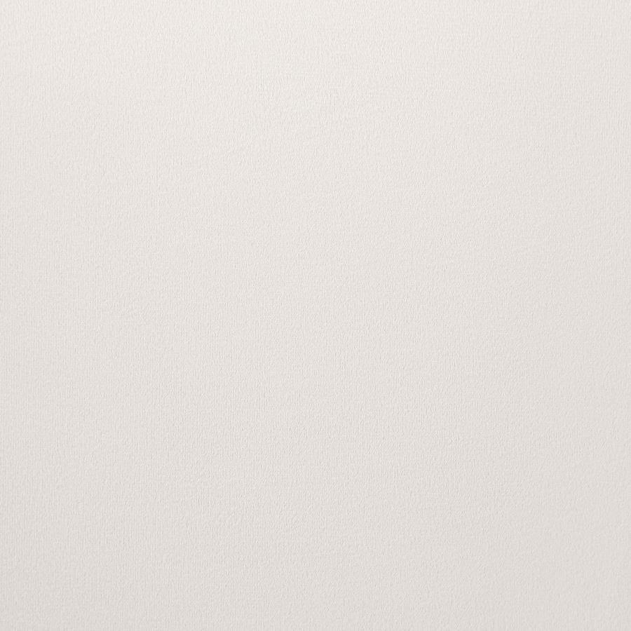 Galiano Velvet - Upholstered Dining Arm Chair (Set of 2)