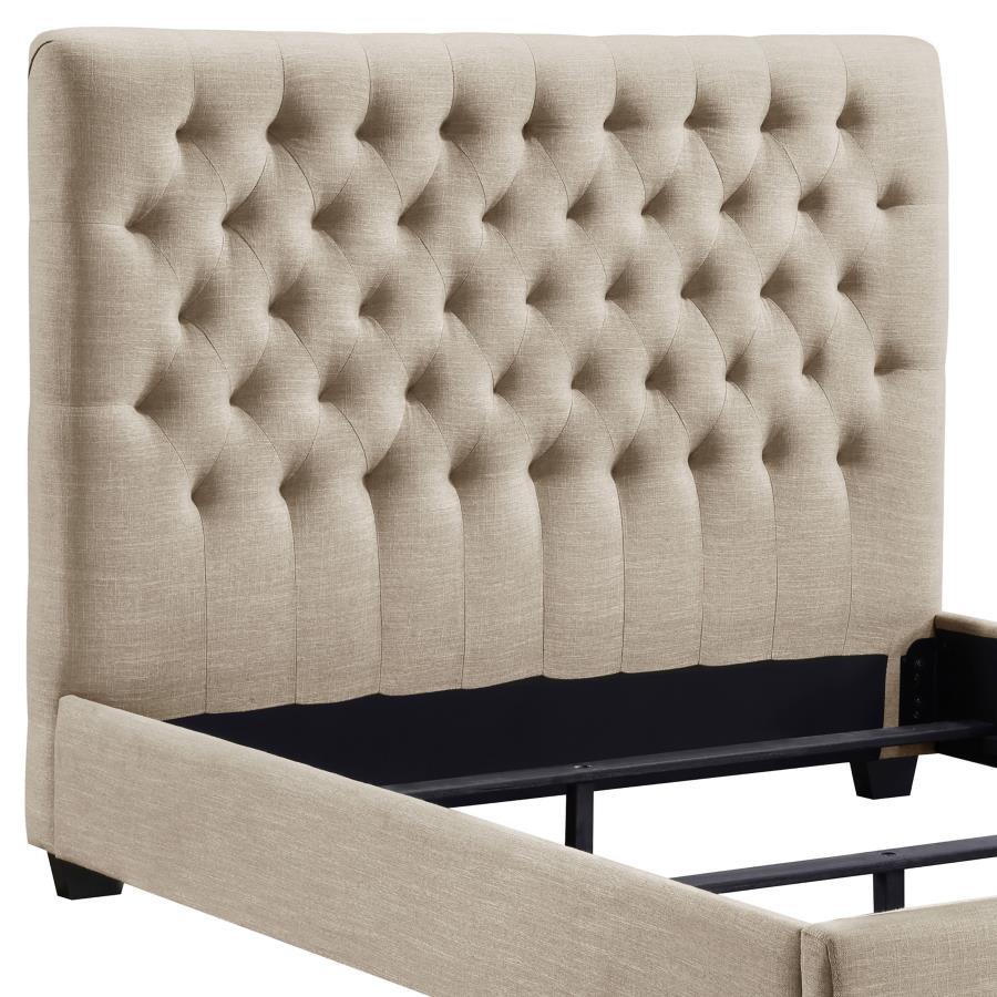 Chloe - Upholstered Panel Bed