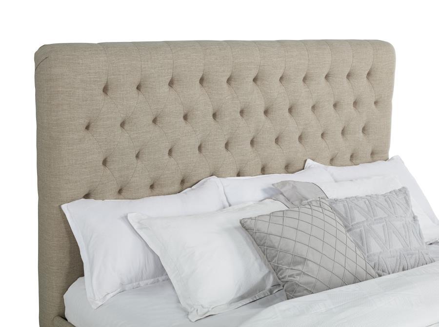 Chloe - Upholstered Panel Bed
