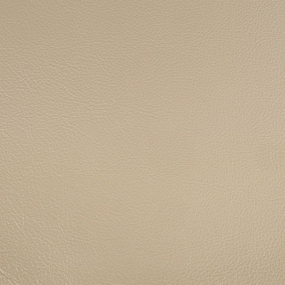 Sorina - Side Chair (Set of 2) - PU & Antique Gold Finish