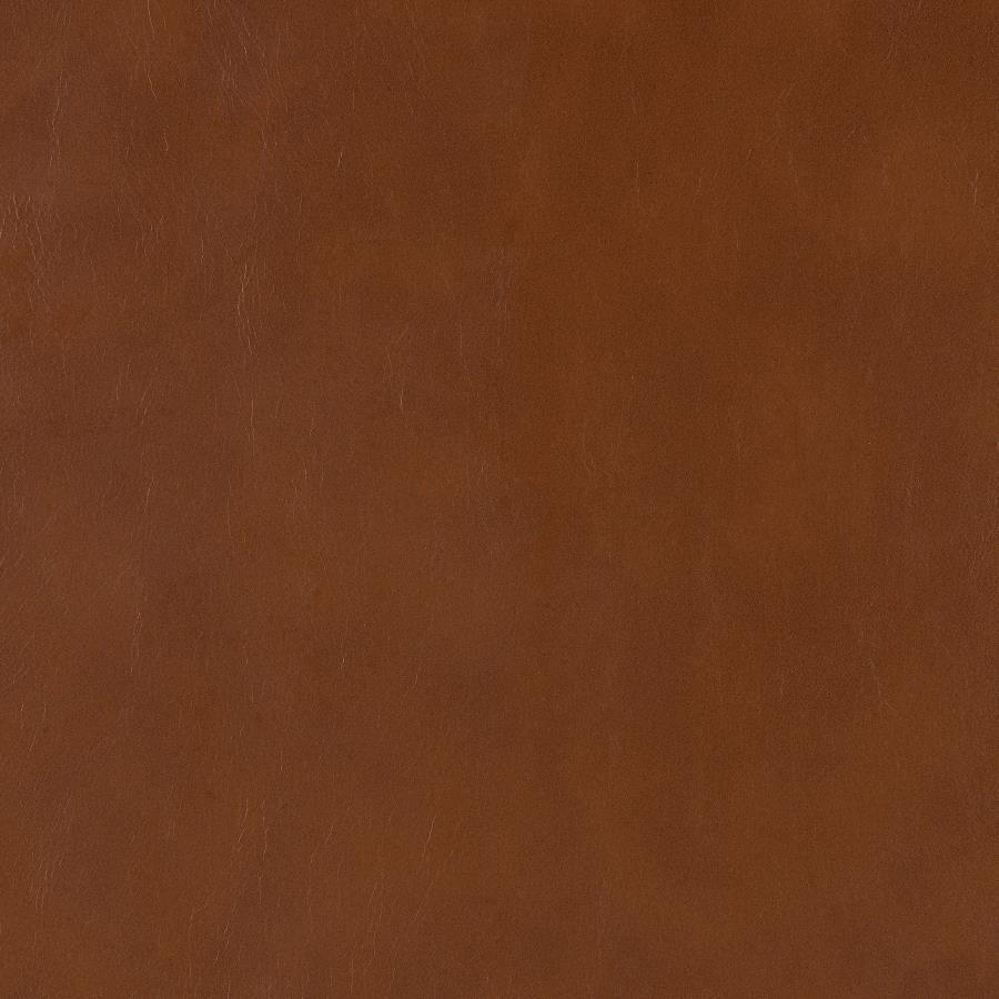 Zuni - Faux Leather Upholstered Bar Chair (Set of 2)