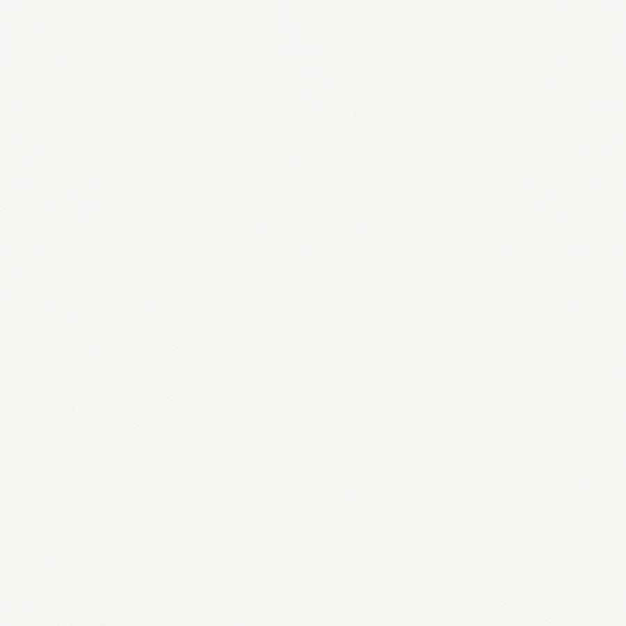 Bishop - Upholstered Dining Side Chair (Set of 2) - White