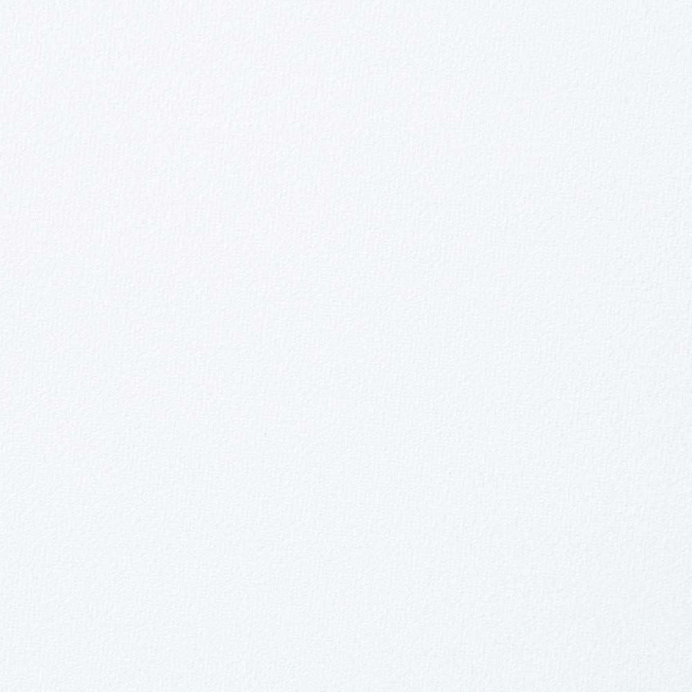 Fallon - Side Chair (Set of 2) - White PU & Mirroed Gold Finish