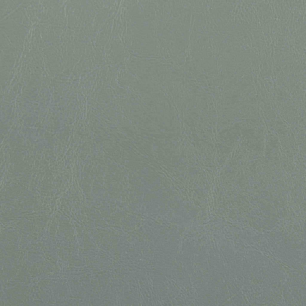 Meridian - Dining Side Chair (Set of 2)