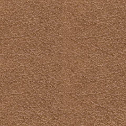 Tryanny - Butterscotch - Power Recliner/ Adj Headrest